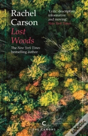 Capa do artigo Lost Woods