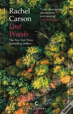 Capa do artigo Lost Woods