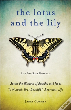 Capa do artigo Lotus And The Lily
