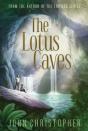 Lotus Caves - Preview