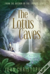 Capa do artigo Lotus Caves