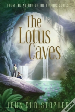 Capa do artigo Lotus Caves