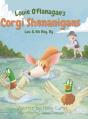 Louie O'Flanagan Corgi Shenanigans - Preview