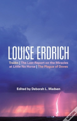 Capa do artigo Louise Erdrich