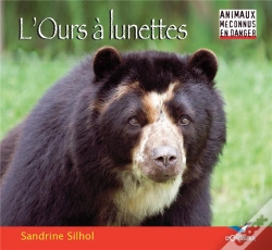 Capa do artigo L'Ours À Lunettes