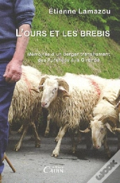 L'Ours Et Les Brebis