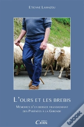 L'Ours Et Les Brebis