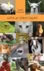 Love At First Sight - Preview