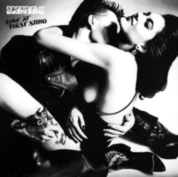 Capa do artigo Love at First Sting - CD