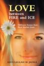 Love Between Fire And Ice: Different Scenes From Real Marital Lives - Preview