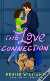 Capa do artigo Love Connection