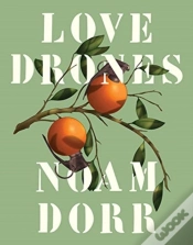Capa do artigo Love Drones