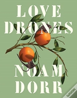 Capa do artigo Love Drones