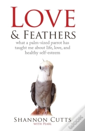 Capa do artigo Love & Feathers