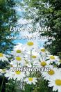 Love & Lust - Preview