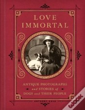 Capa do artigo Love Immortal