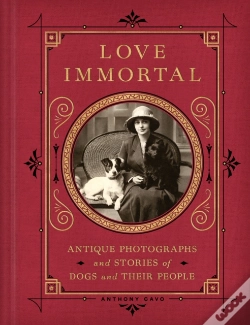 Capa do artigo Love Immortal