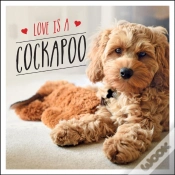 Capa do artigo Love Is A Cockapoo
