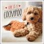 Love Is A Cockapoo - Preview