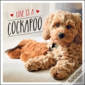 Capa do artigo Love Is A Cockapoo