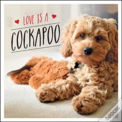 Capa do artigo Love Is A Cockapoo
