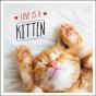 Love Is A Kitten - Preview