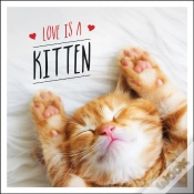 Capa do artigo Love Is A Kitten