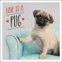 Love Is A Pug - Preview