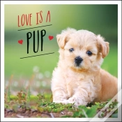 Capa do artigo Love Is A Pup