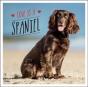Love Is A Spaniel - Preview