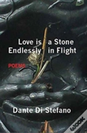 Capa do artigo Love Is A Stone Endlessly In Flight