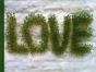 Love - Preview