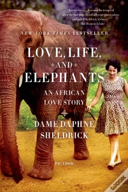 Capa do artigo Love, Life, And Elephants