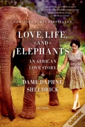 Capa do artigo Love, Life, And Elephants
