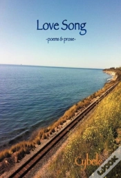 Capa do artigo Love Song