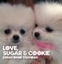 Love Sugar & Cookie - Preview