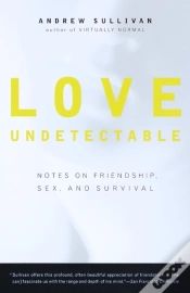 Capa do artigo Love Undetectable
