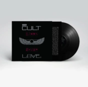 Capa do artigo Love - Vinil