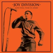 Capa do artigo Love Will Tear Us Apart - Vinil