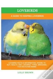 Lovebirds