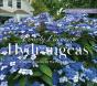 Lovely Lacecap Hydrangeas - Preview