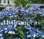 Lovely Lacecap Hydrangeas - Preview