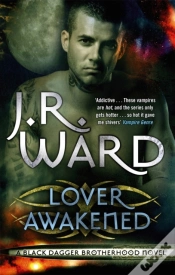 Capa do artigo Lover Awakened