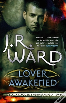 Capa do artigo Lover Awakened