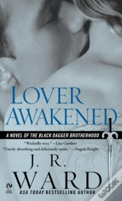 Capa do artigo Lover Awakened