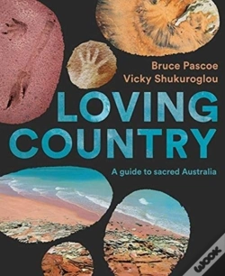 Capa do artigo Loving Country