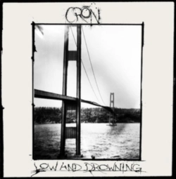 Capa do artigo Low and Drowning - Vinil