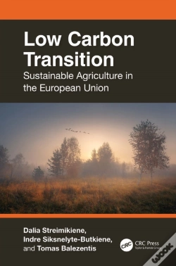 Capa do artigo Low Carbon Transition