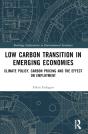 Low Carbon Transition In Emerging Economies - Preview