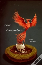 Capa do artigo Low Commotion